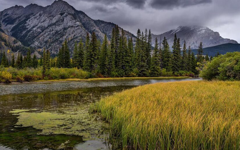 Le parc national Ivvavik au Canada