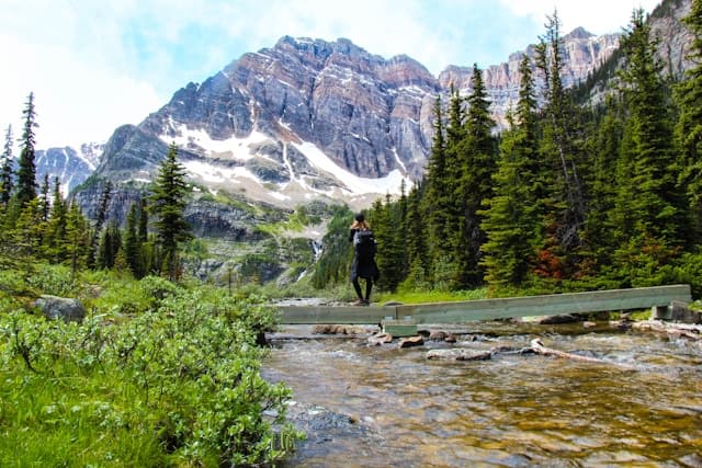Comment s’inspirer des parcs nationaux du Canada pour écrire un mémoire captivant ?