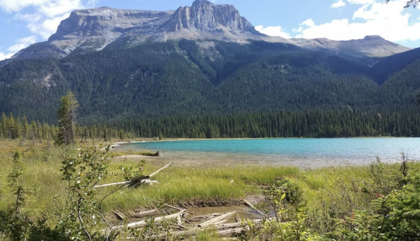 Faits intéressants sur les parcs du Canada